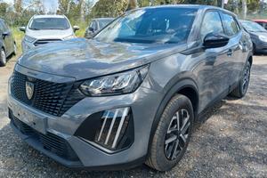 Peugeot 2008 PureTech 100 S&S Active