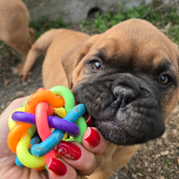 Dogue de bordeaux cuccioli 2 mesi