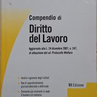 compendi di diritto del lavoro e diritto sindacale