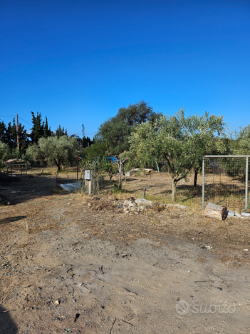 Terreno agricolo zona H