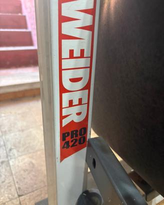 Panca multifunzione Weider pro 420