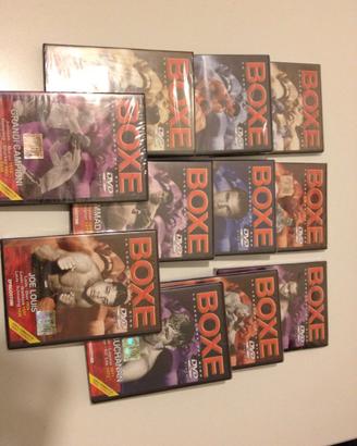 BOXE, la legenda del ring