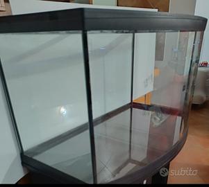 acquario 120 litri panoramico aperto con filtri