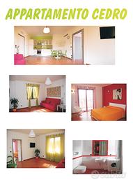 Appartamento Cedro
