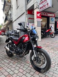 Benelli Leoncino 500 Trial