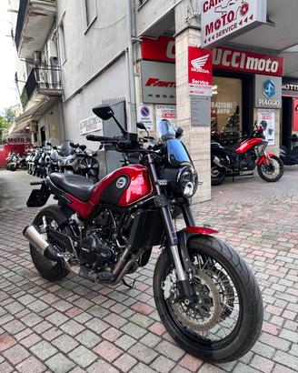 Benelli Leoncino 500 Trial