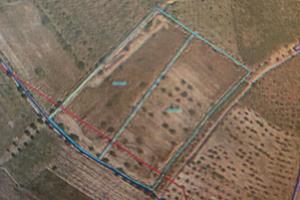 Terreno agricolo