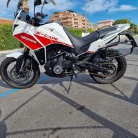 telaietti shad 4P per morini xcape 649