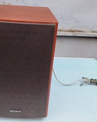 Cassa Audio Sony SS-CCPX11 + Cavo