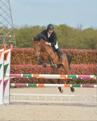 Cavalla S.I. 2012 - Salto Ostacoli