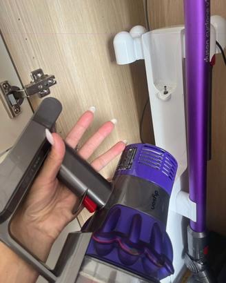 Dyson cyclone v10 animal