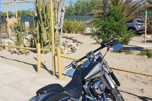 Harley Davidson Breakout FXSB