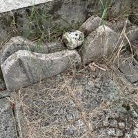 Portabici in cemento