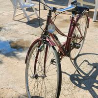 Bicicletta da donna marca Bianchi 9 marce