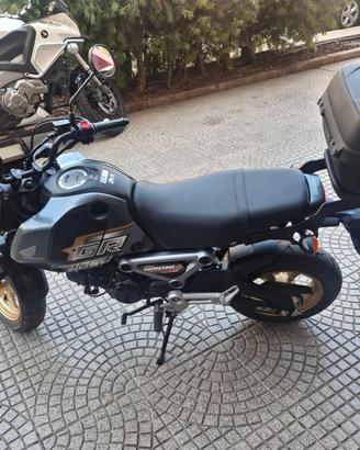 Honda MSX 125 STRADA