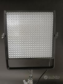 Luce led Lupo bicolor