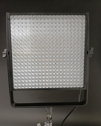 Luce led Lupo bicolor