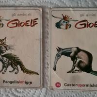 Lotto figurine Gli amici di Gioele Colussi Perugia