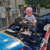 JEEP WILLYS M38 1952 MILITARE