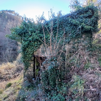 Rustico con terreni