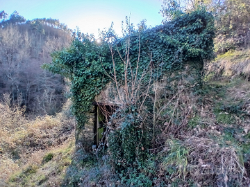 Rustico con terreni