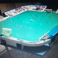 Subbuteo stadio
