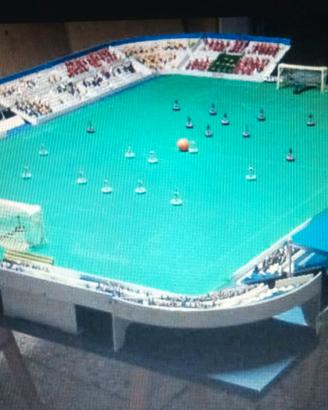 Subbuteo stadio