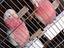 Immagine 2