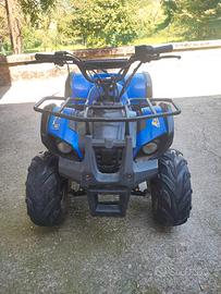 Quad 110