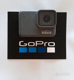 GoPro