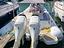 Immagine 11