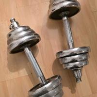 Manubri palestra Gym
