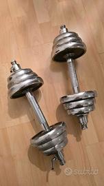 Manubri palestra Gym