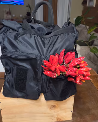 Zaino/ borsa Diesel 
