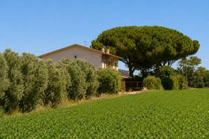 Rustico / Casale di 270 m² con più di 5 locali a T