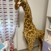 Giraffa gigante