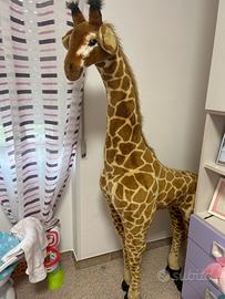 Giraffa gigante