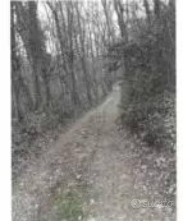 Immobile in asta di 4060 m² a Cuasso al Monte - Altro