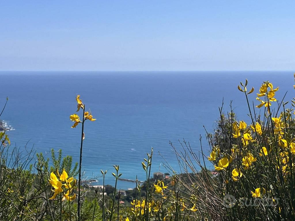 Terreno di 165000 m² a Levanto - Vista 3
