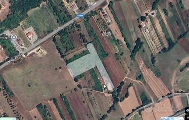 Terreno edificabile celano (aq)