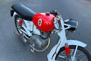 AMF GLORIA 100cc