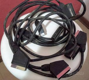 4 cavetti scatter 