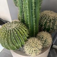 PIANTA D'ARREDO FINTA.