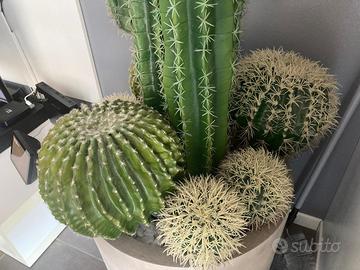 PIANTA D'ARREDO FINTA.