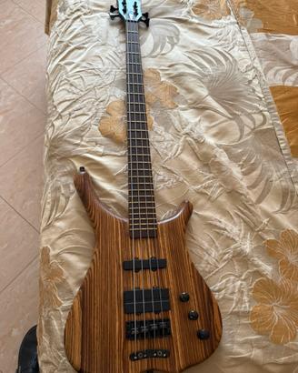 Basso warwich infinity zebrano
