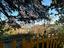 Immagine 25