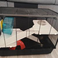 Gabbia grande per roditori