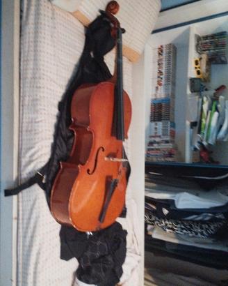 violoncello 