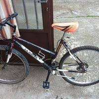 MTB 26