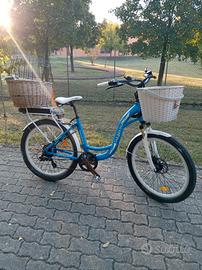 bici elettrica 